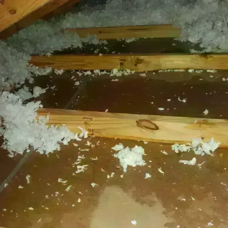 Attic Water Damage in Taylors, SC