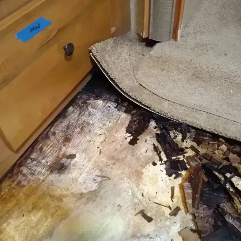 Wood Floor Water Damage in Taylors, SC